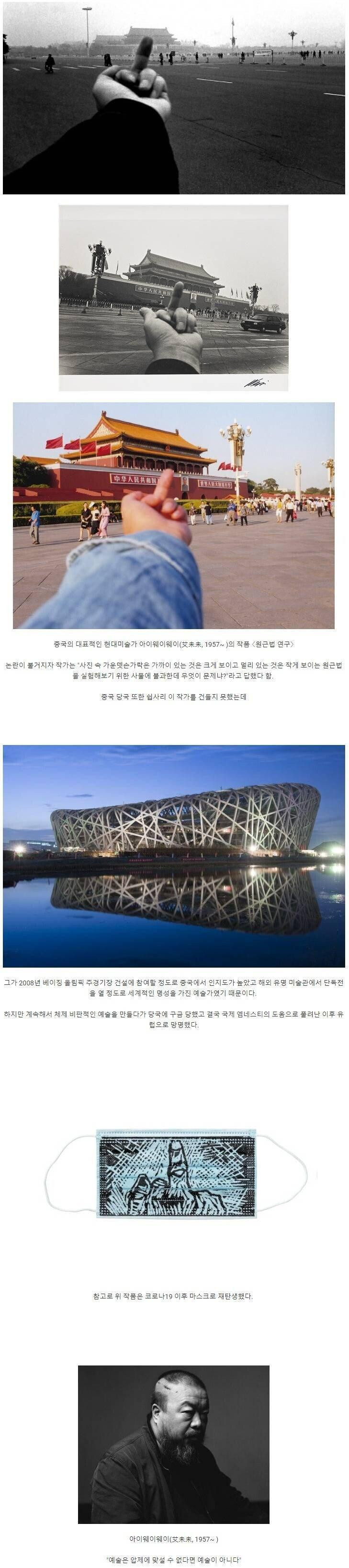ㄹㅇ 목숨을 건 중국인 예술가의 도발 ㅎㄷㄷ