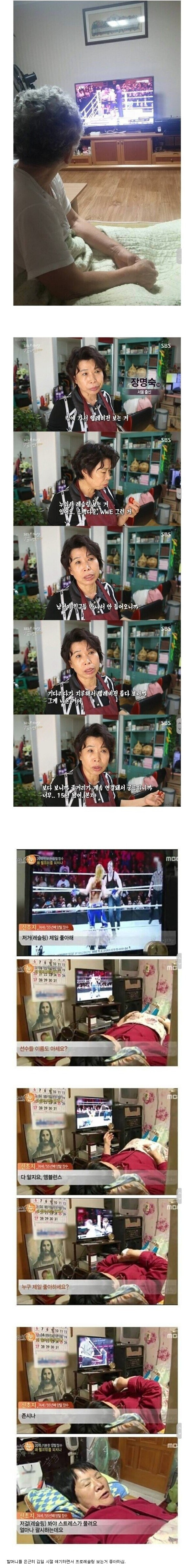 의외의 WWE 시청층