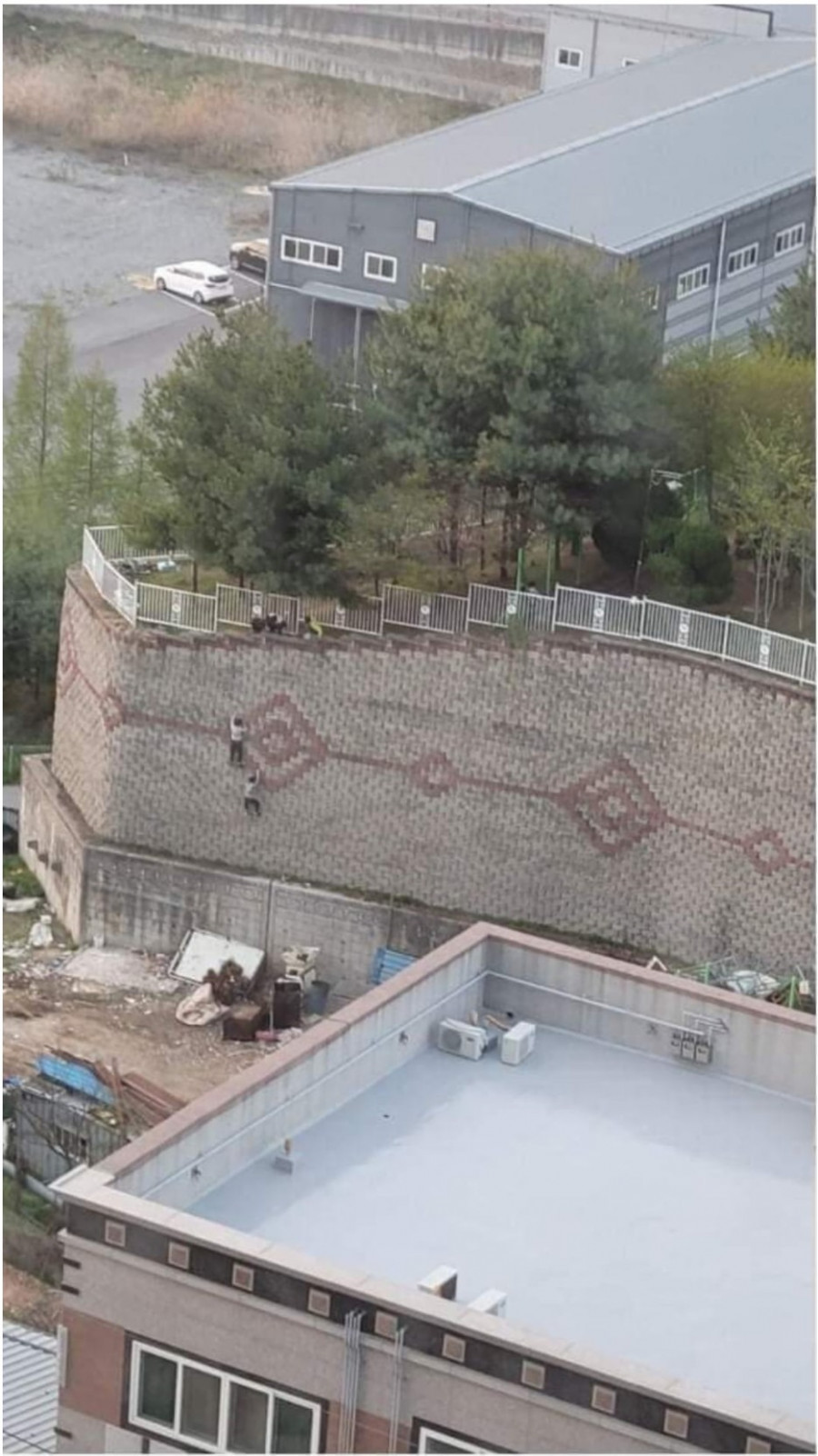 겂없는 요즘 잼민이들