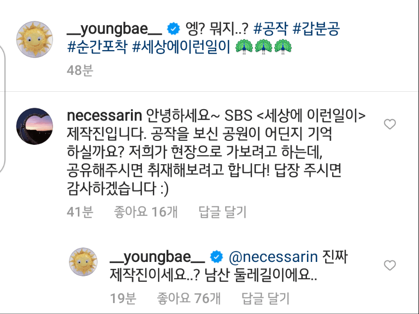 빅뱅 태양이 남산에서 목격한것...jpg