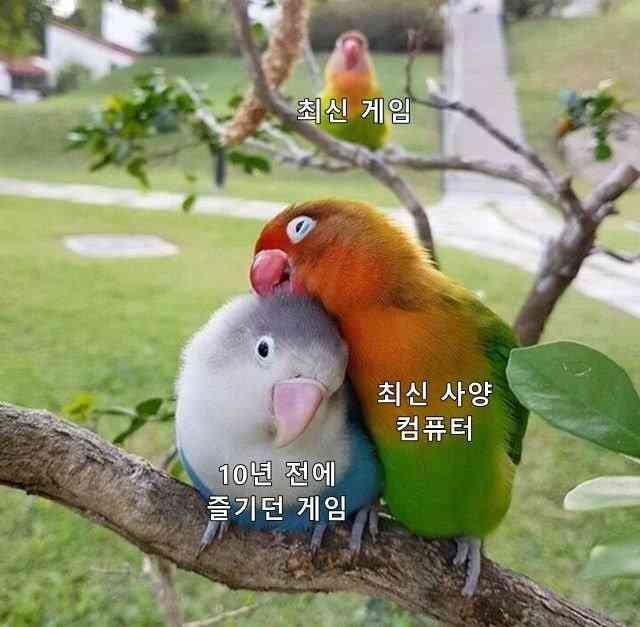 컴퓨터 새로 산 게이머들 특징