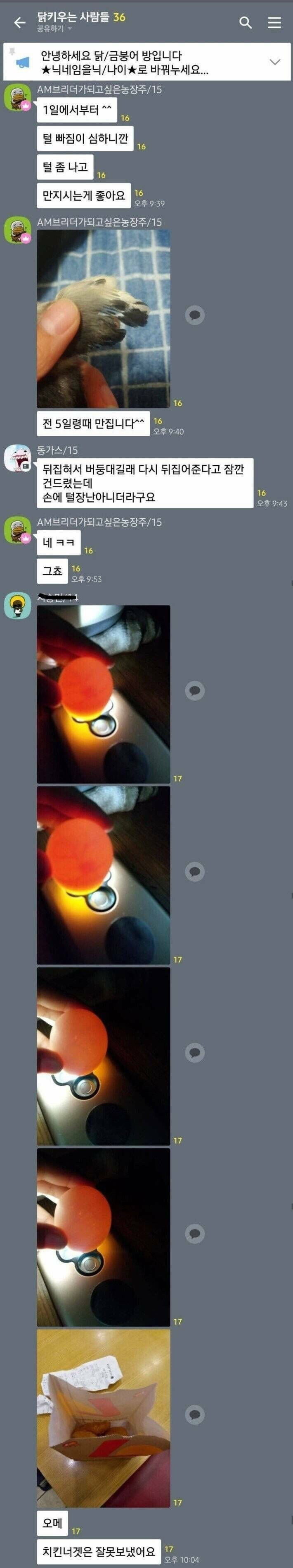 싱글벙글 닭키우기 단톡방