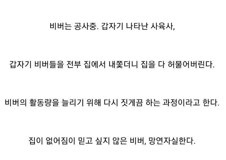 동물농장 레전드