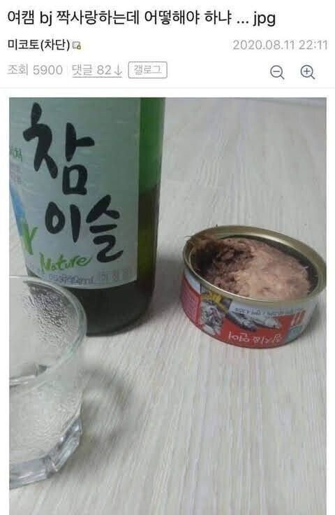 여캠 BJ를 짝사랑하는 고양이