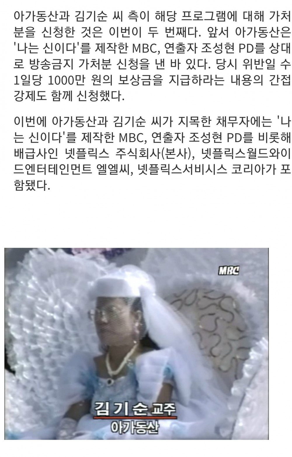 끈질긴 아가동산 또 넷플릭스 상대로