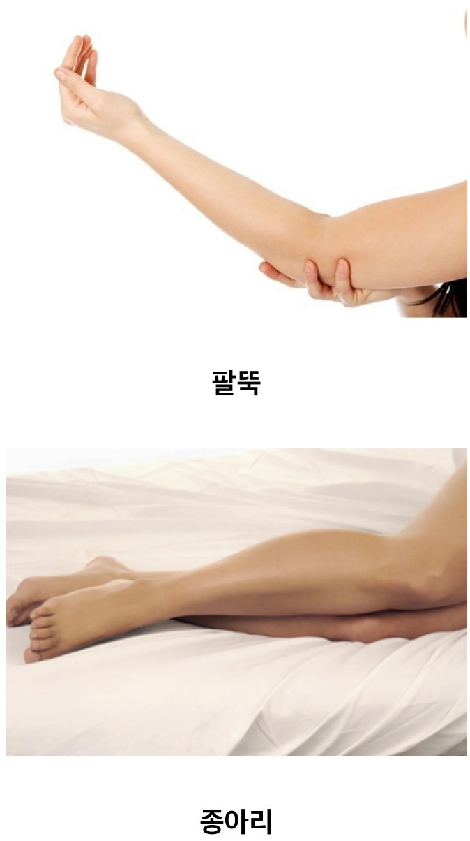 신체부위 중 가장 살빼기 어렵다는 마의 부위