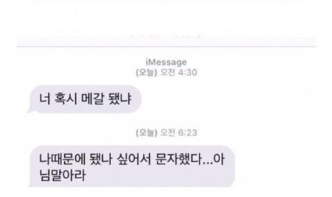 안좋게 헤어진 여친에게 보내는 근황 문자