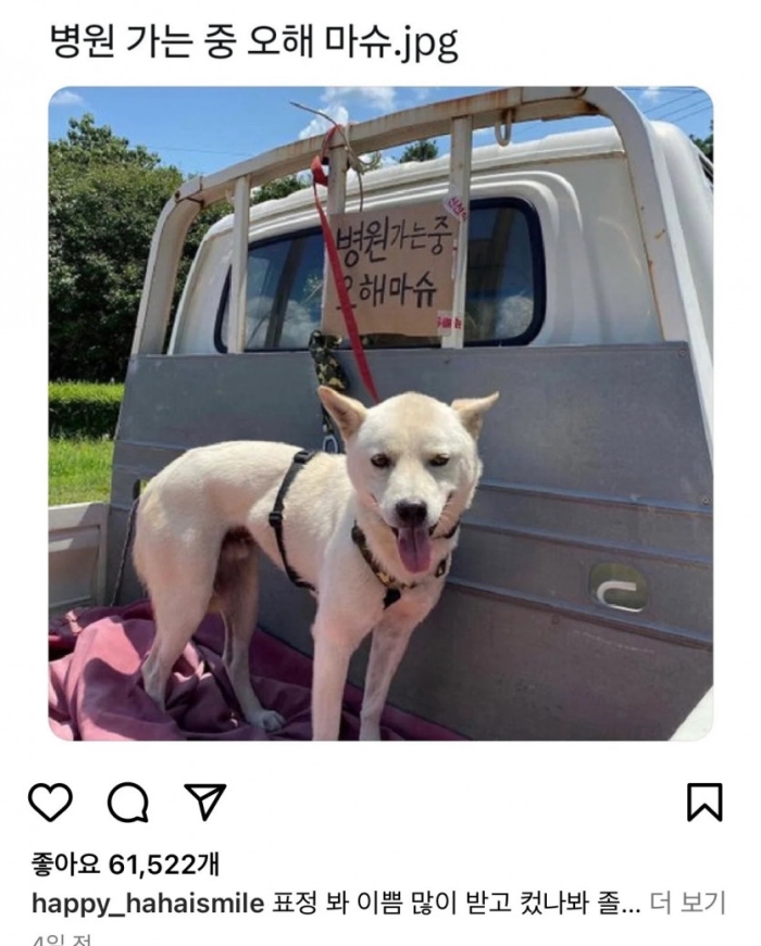 병원 가는 중 오해 마슈