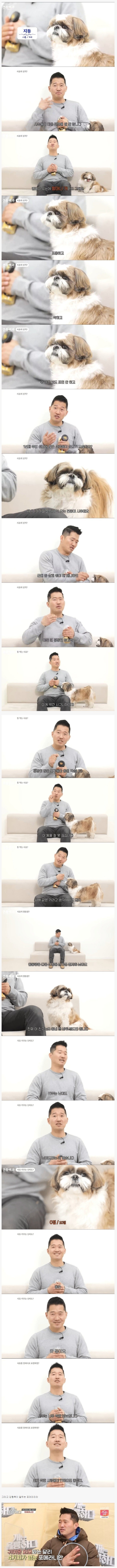 강형욱이 말하는 시츄의 특징