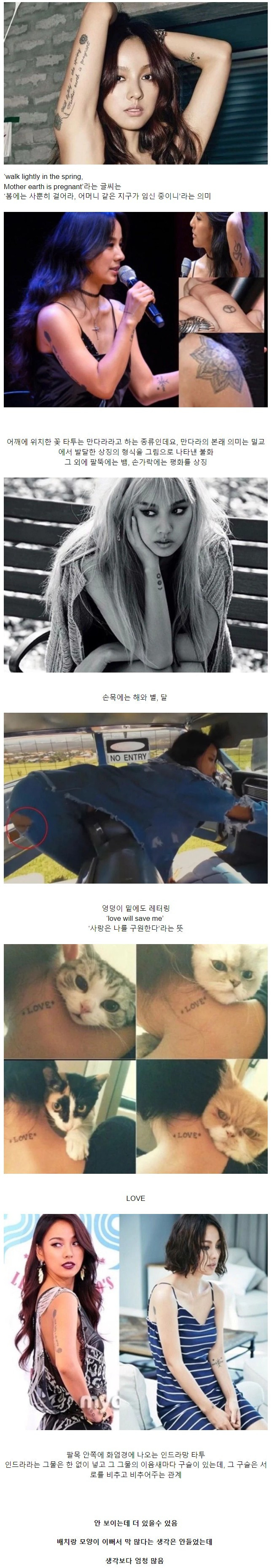 생각보다 몸에 타투가 많은 이효리