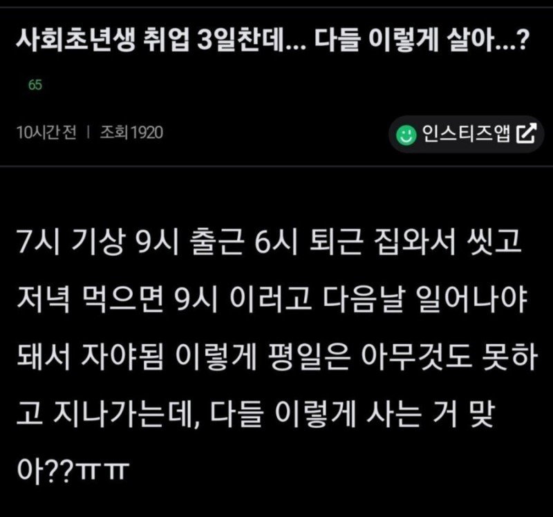취업 3일차에 현타온 인티녀