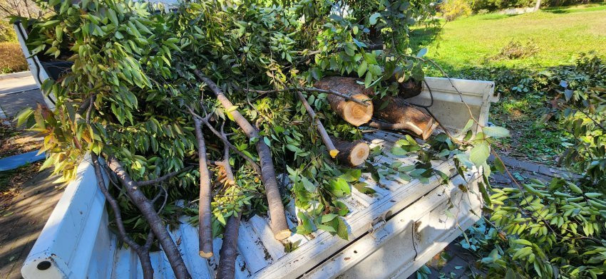 고등학교 공익이 하는 일 ㄷㄷ