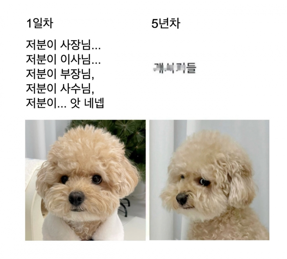 직장생활 1일차 VS 5년차 갭차이