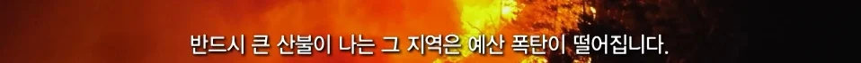 산불이 날수록 이득인 이유