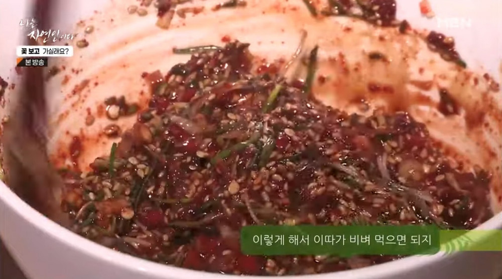 나는 자연인이다 출연자중 제일 요리 잘했었던 자연인