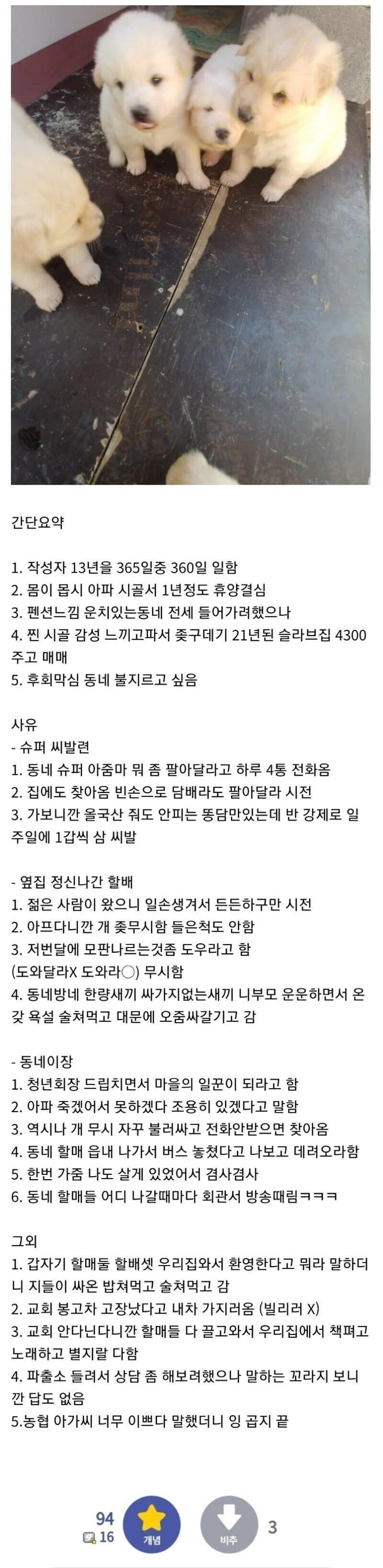 흔한 시골살이 썰