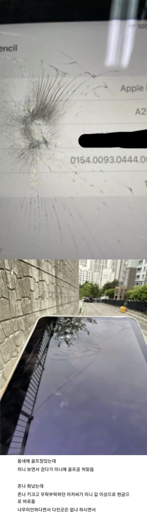 골프공 맞고 금융치료
