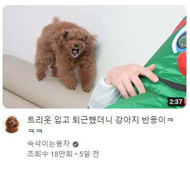 주인 몰라보는 강아지