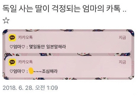 독일 사는 딸이 걱정됐던 엄마의 카톡.jpg