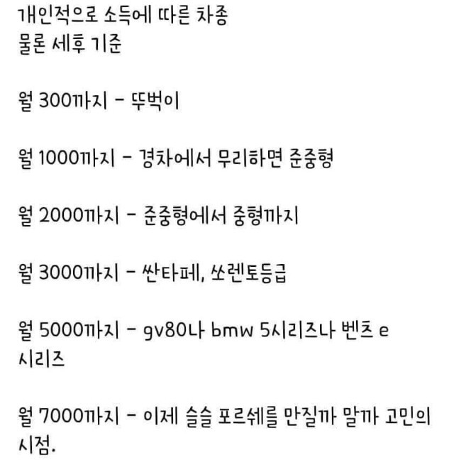 세후 소득에 따른 차종