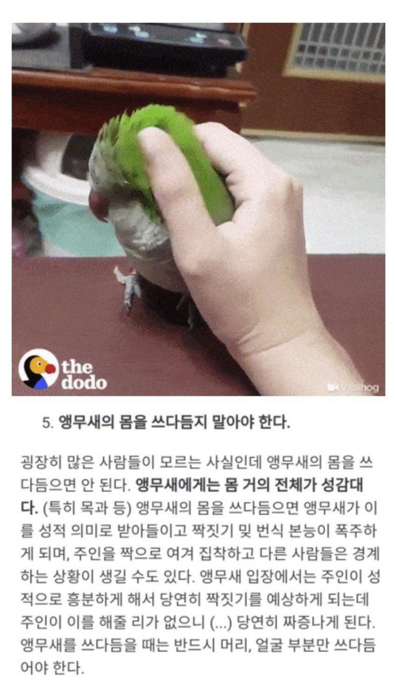 전신이 성감대 ㄷㄷ