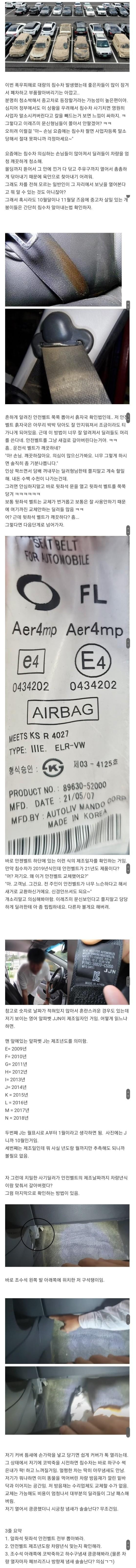 차알못들을 위한 침수차 구별 방법