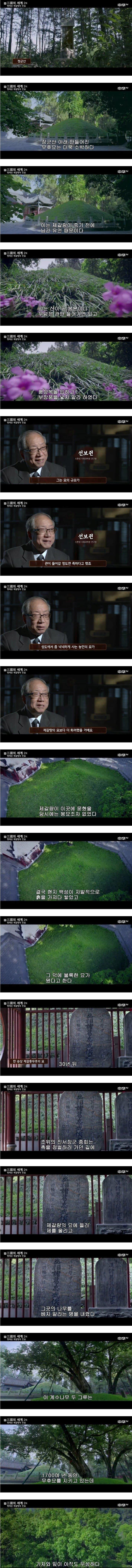 제갈량의 실제 묘지.jpg