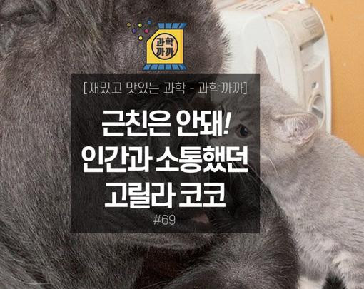 동물마저 거부한 근친상간 . JPG