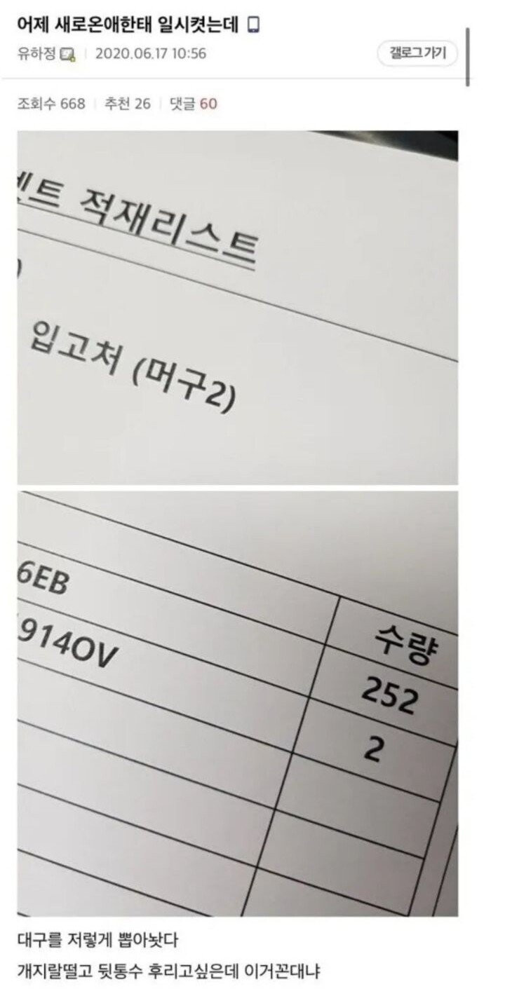 어메이징.. 요즘 MZ세대 신입사원 상태