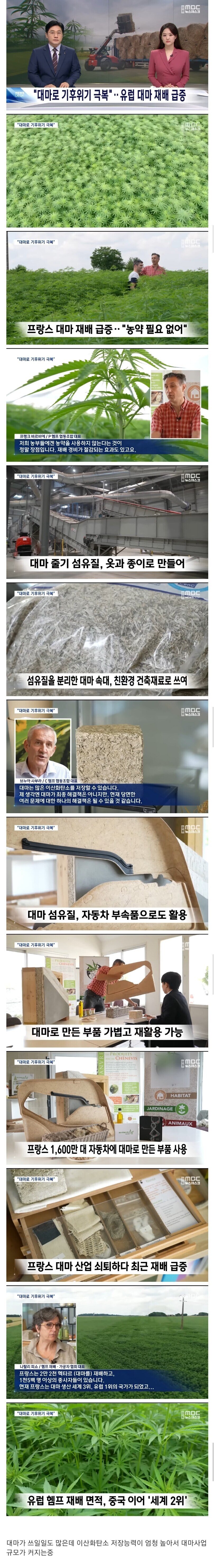 "대마로 기후위기 극복" 중인 유럽