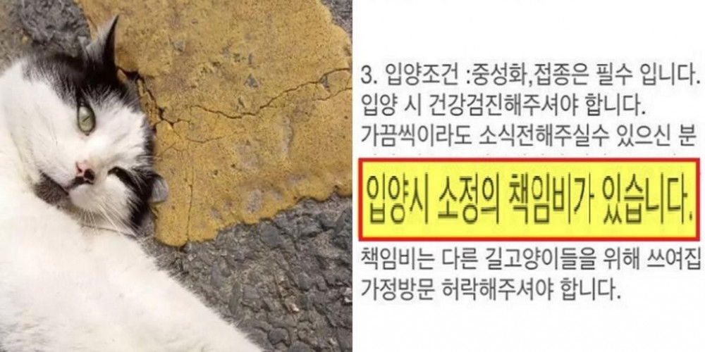 의외로 불법인데 전혀 처벌받지 않는다는 것