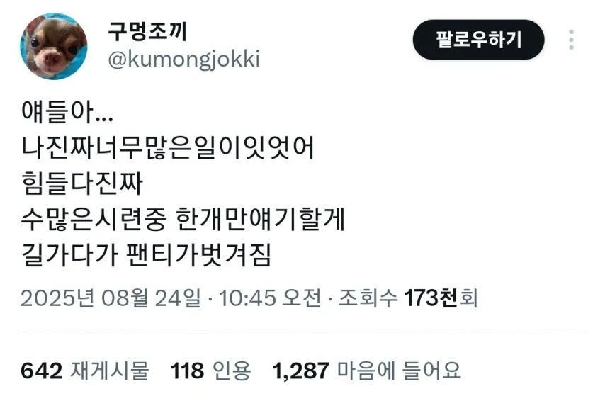 다이소에서 절대 사면 안되는 물건